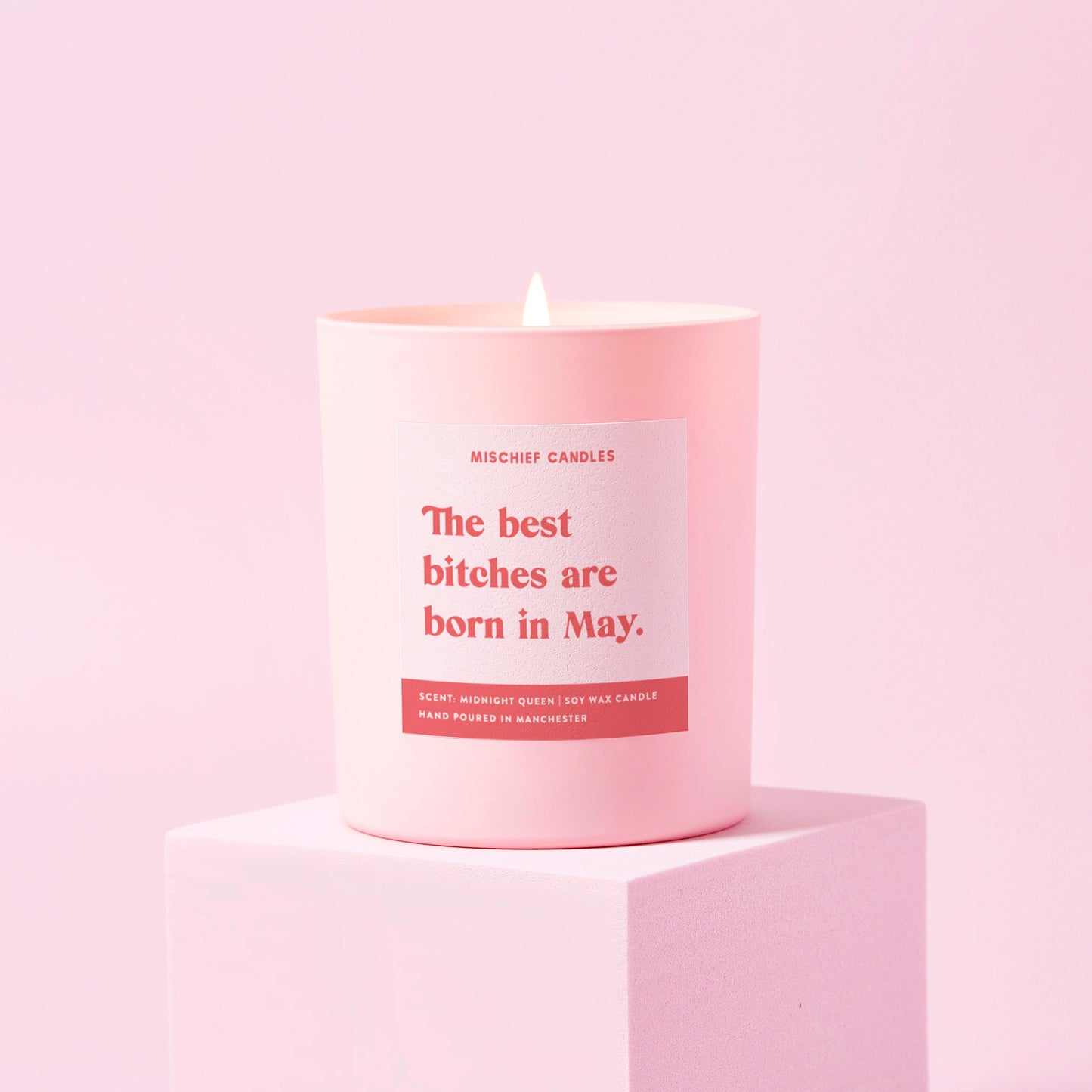 May Birthday Gift Funny Birthday Gift Candle May Birthday Bitch