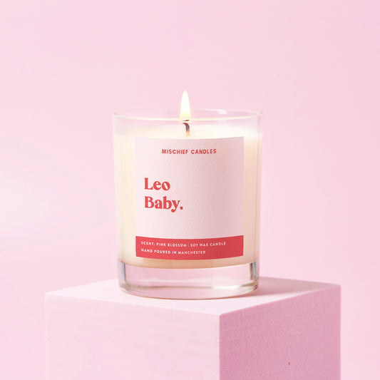 Leo Birthday Gift Funny Zodiac Birthday Candle Leo Baby