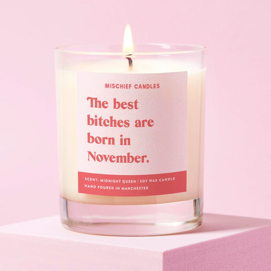 November Birthday Gift Funny Birthday Gift Candle November Birthday Bitch