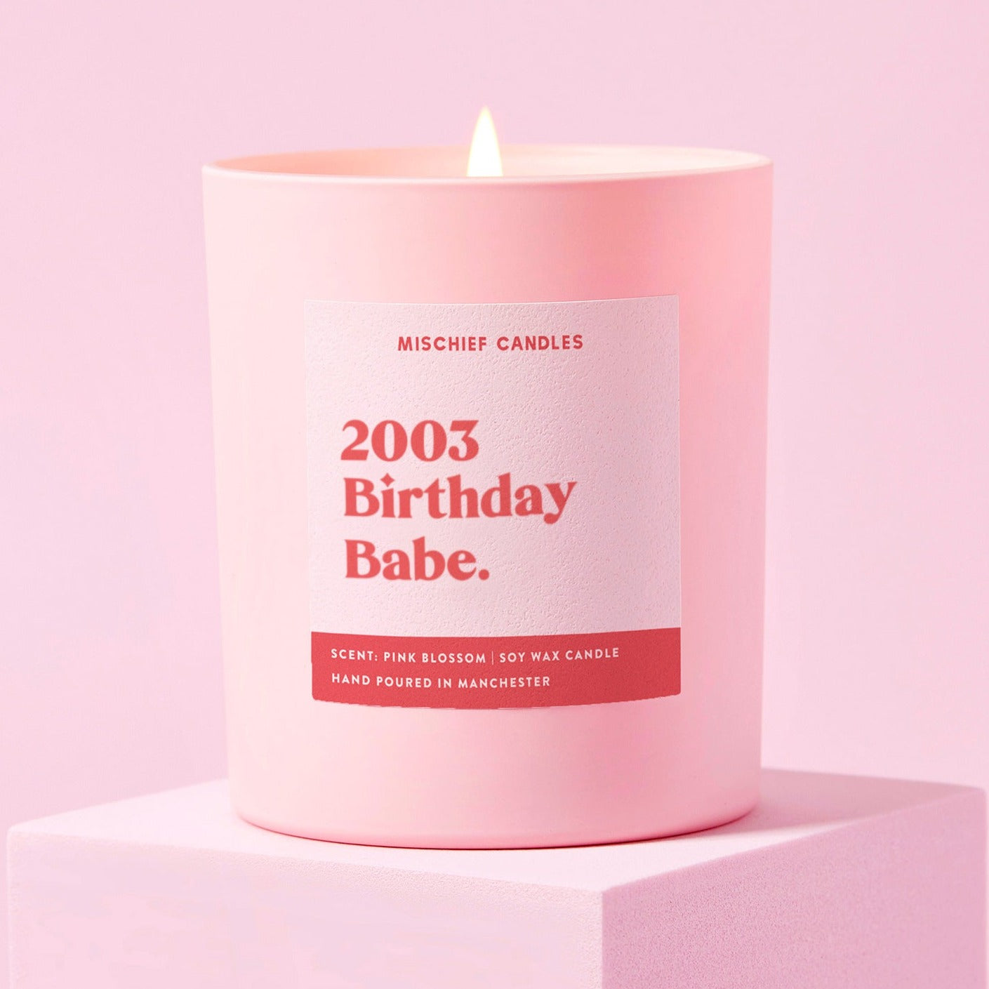 21st Birthday Gift Funny Birthday Candle 2003 Birthday Babe