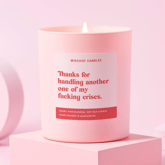 Funny Thank You Gift Soy Wax Candle Handling Another Crisis