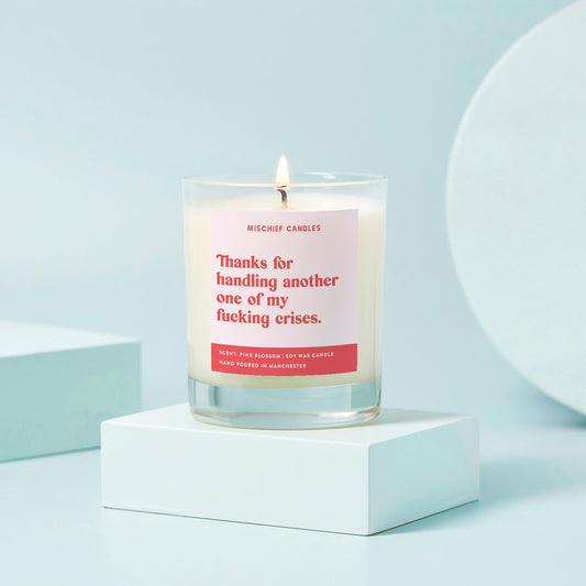 Funny Thank You Gift Soy Wax Candle Handling Another Crisis