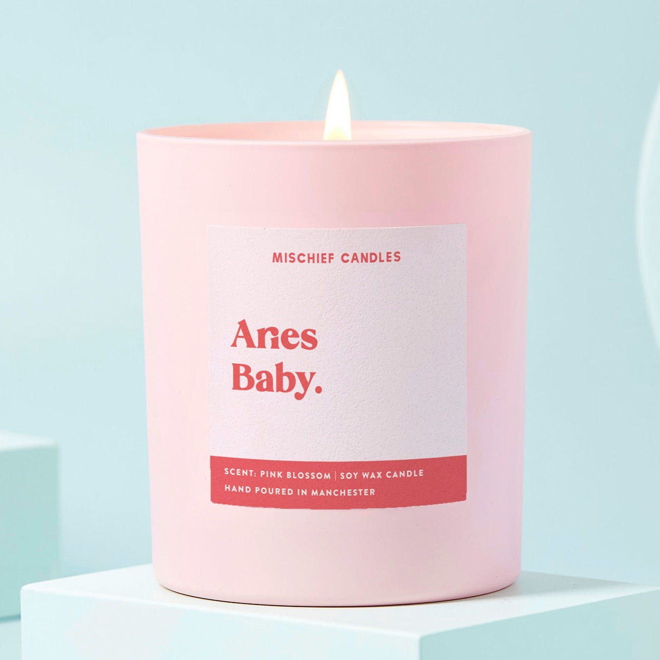 Aries Birthday Gift Funny Zodiac Candle Aries Baby