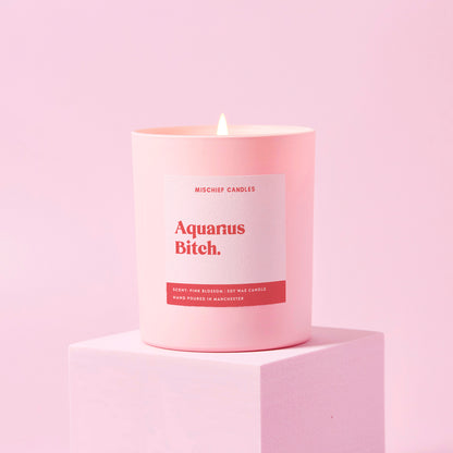 Aquarius Birthday Gift Funny Zodiac Candle Aquarius Bitch