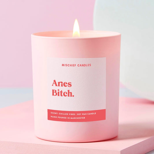 Aries Birthday Gift Funny Zodiac Candle Aries Bitch
