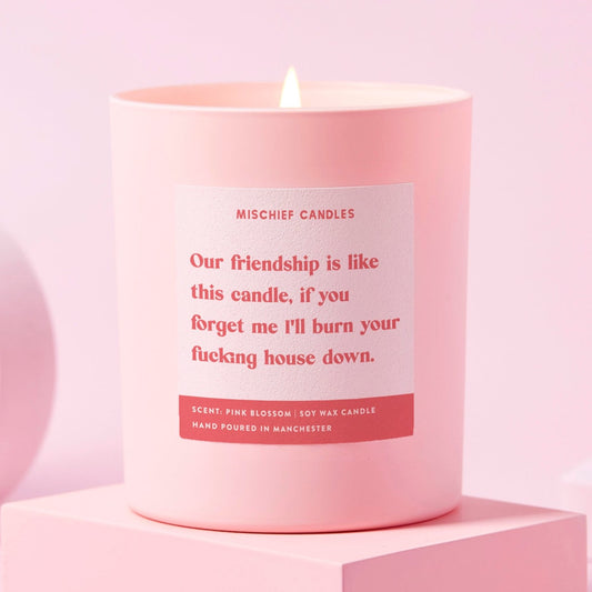 Best Friend Funny Burn House Down Gift For Her Funny Candle