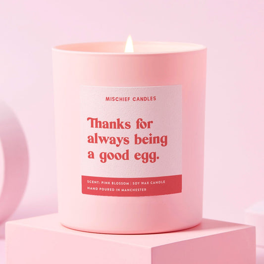 Thank You Gift Funny Soy Wax Candle Good Egg