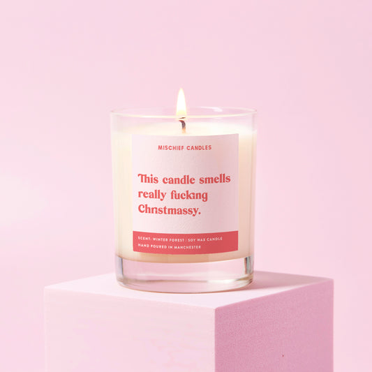 Funny Christmas Gift For Friend Stocking Filler Candle Smells Christmassy